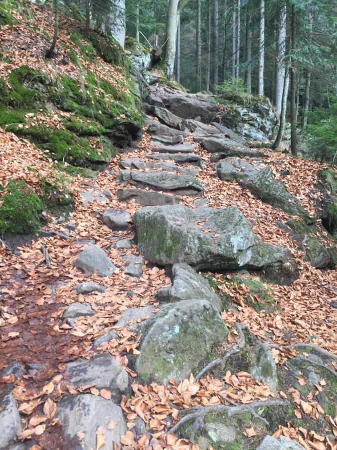 Apartman “U Nas V Podkrovi“ V Rezidenci Klostermann, Zelezna Ruda 24 Eksteriør bilde