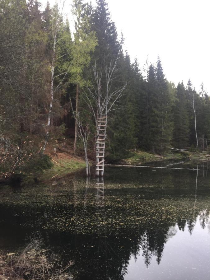 Apartman “U Nas V Podkrovi“ V Rezidenci Klostermann, Zelezna Ruda 24 Eksteriør bilde
