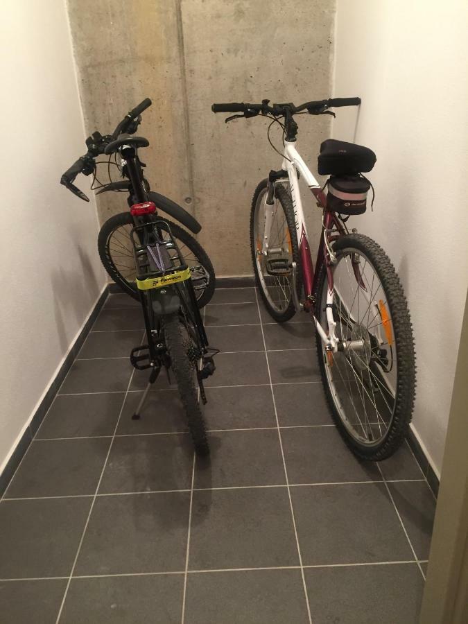 Apartman “U Nas V Podkrovi“ V Rezidenci Klostermann, Zelezna Ruda 24 Eksteriør bilde